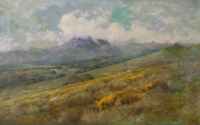 Landschaft von Josep Berga Boix